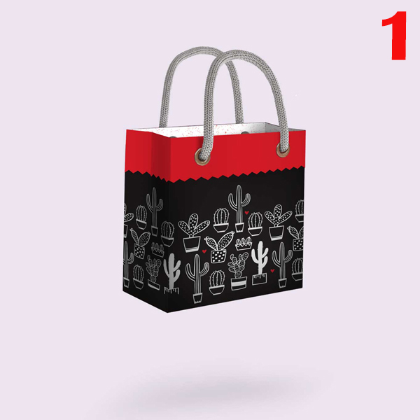 کیف کادو مریخ سایز 5