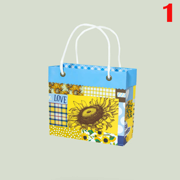 کیف کادو مریخ سایز 6